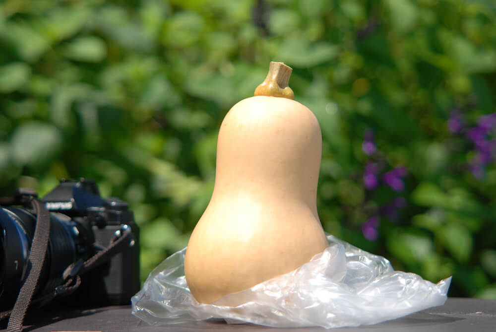 f:id:hachi-log:20211224232452j:plain