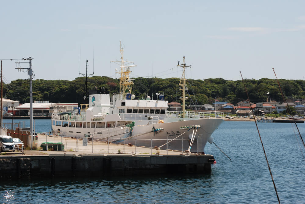 f:id:hachi-log:20211224232509j:plain