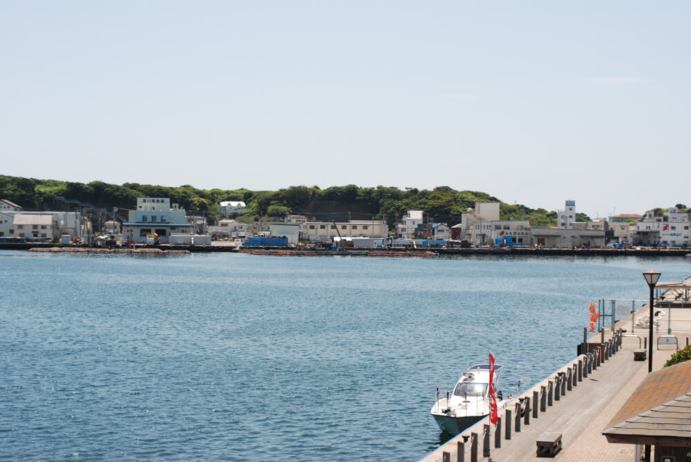 f:id:hachi-log:20211224232512j:plain