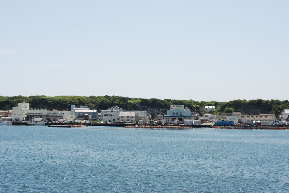 f:id:hachi-log:20211224232520j:plain