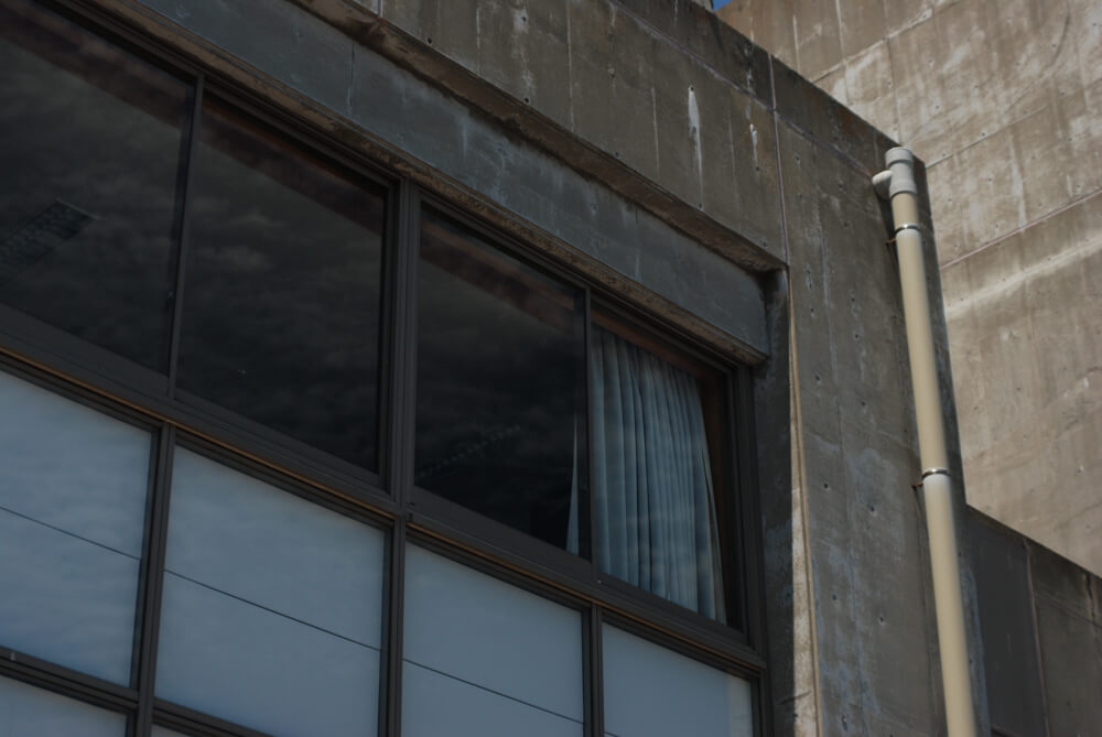 f:id:hachi-log:20211224232532j:plain