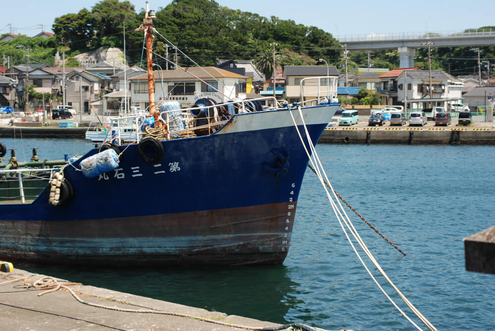 f:id:hachi-log:20211224232600j:plain