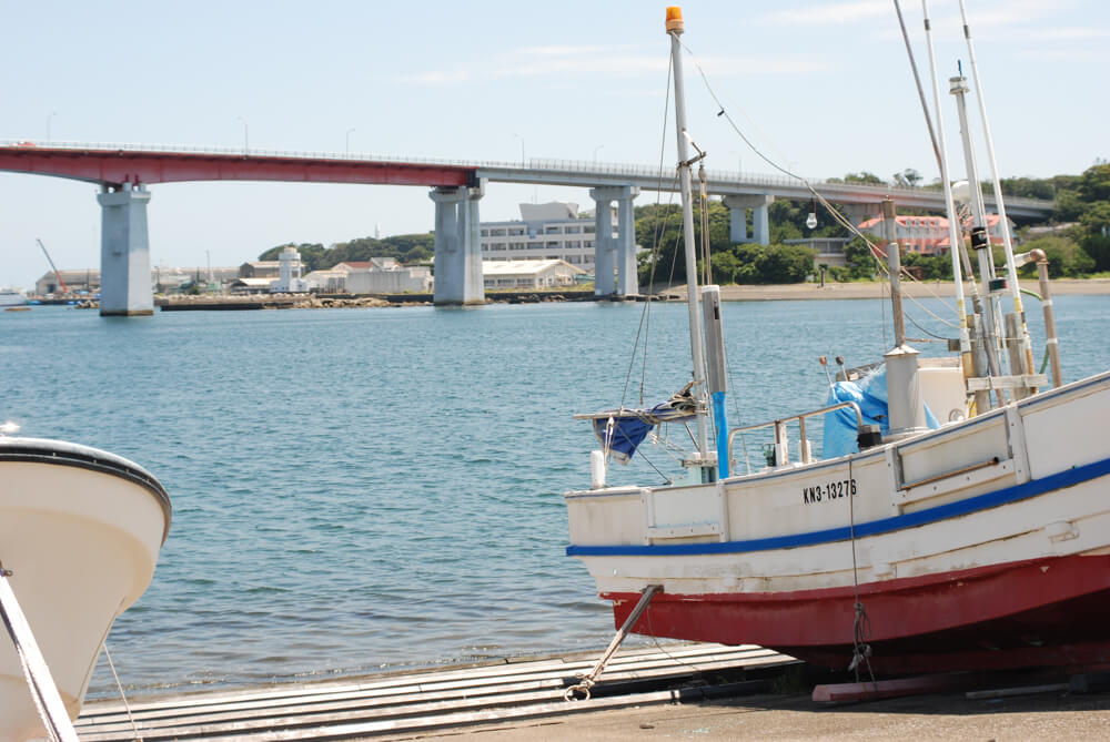 f:id:hachi-log:20211224232603j:plain