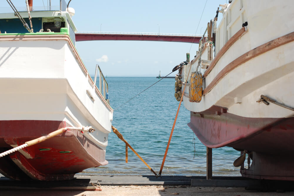 f:id:hachi-log:20211224232606j:plain