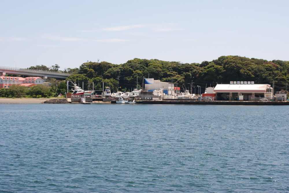 f:id:hachi-log:20211224232614j:plain