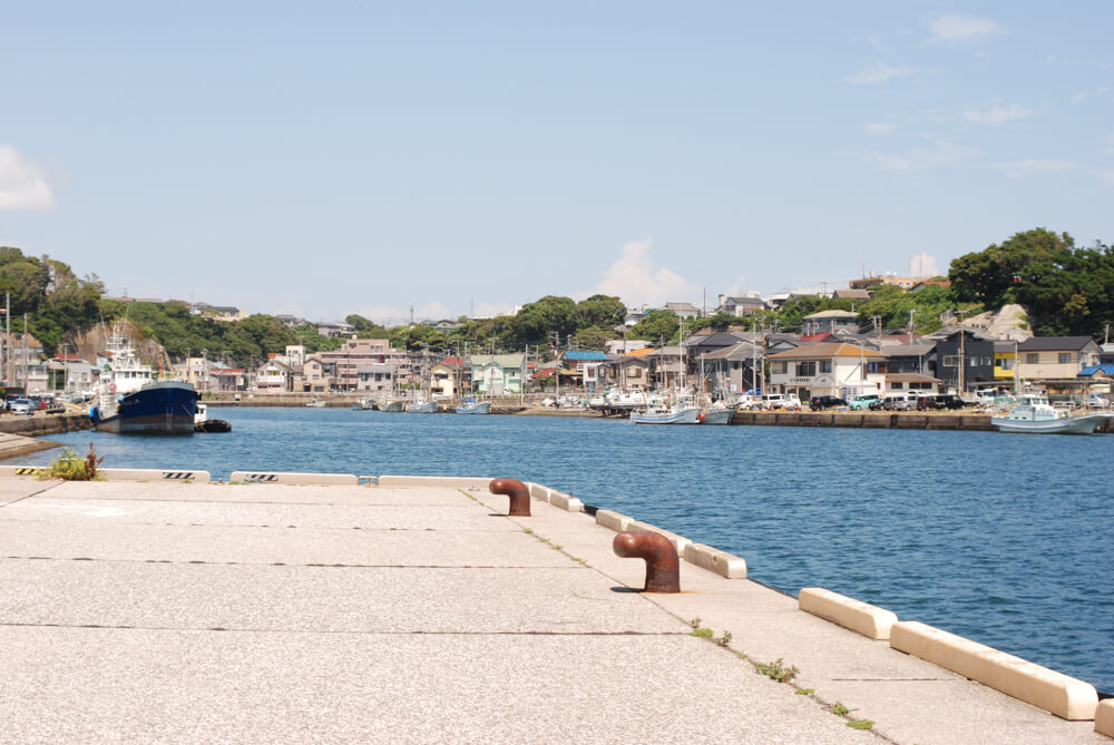 f:id:hachi-log:20211224232618j:plain