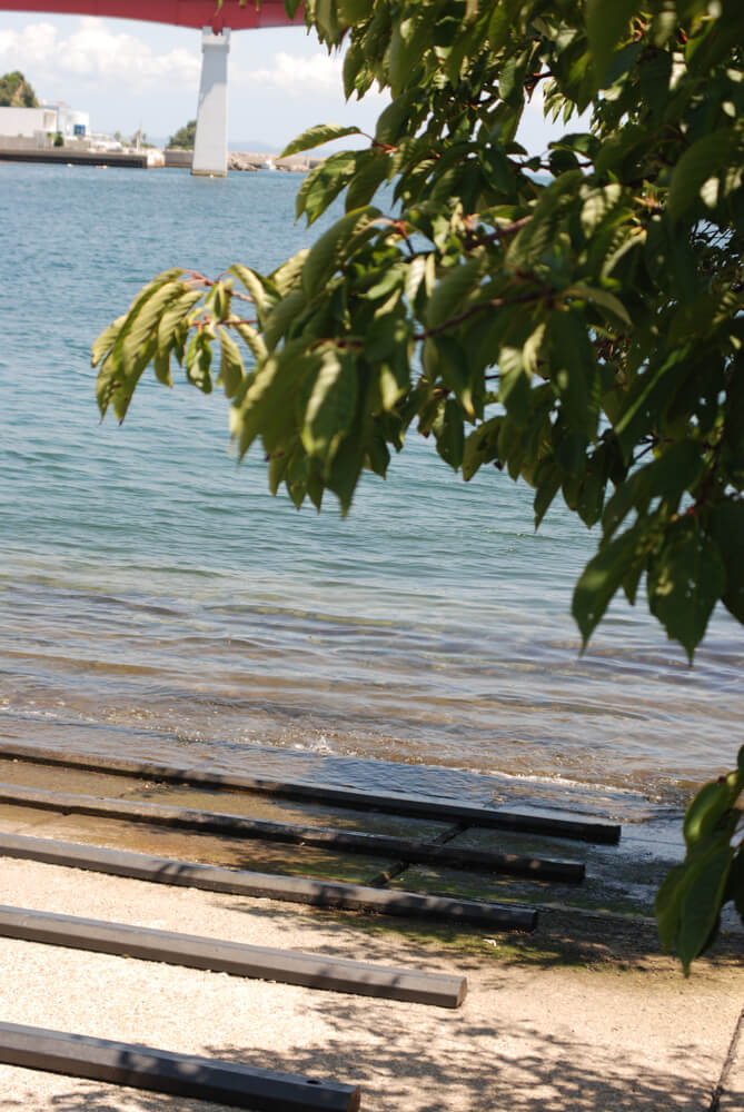 f:id:hachi-log:20211224232620j:plain