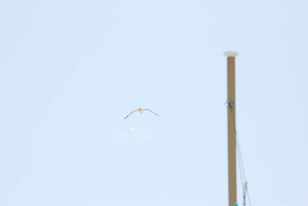 f:id:hachi-log:20211224232634j:plain