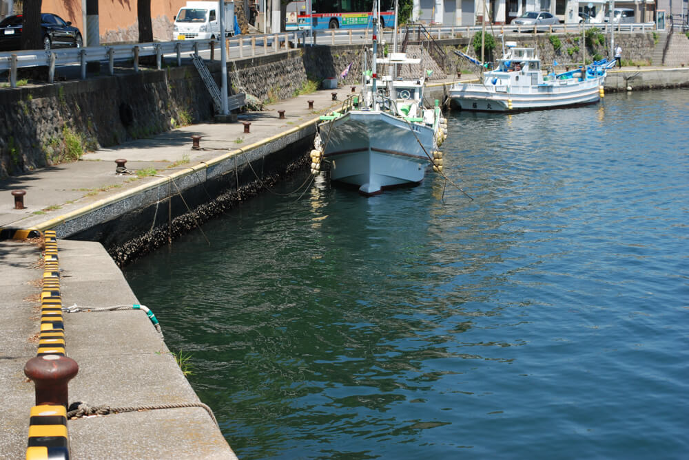 f:id:hachi-log:20211224232643j:plain