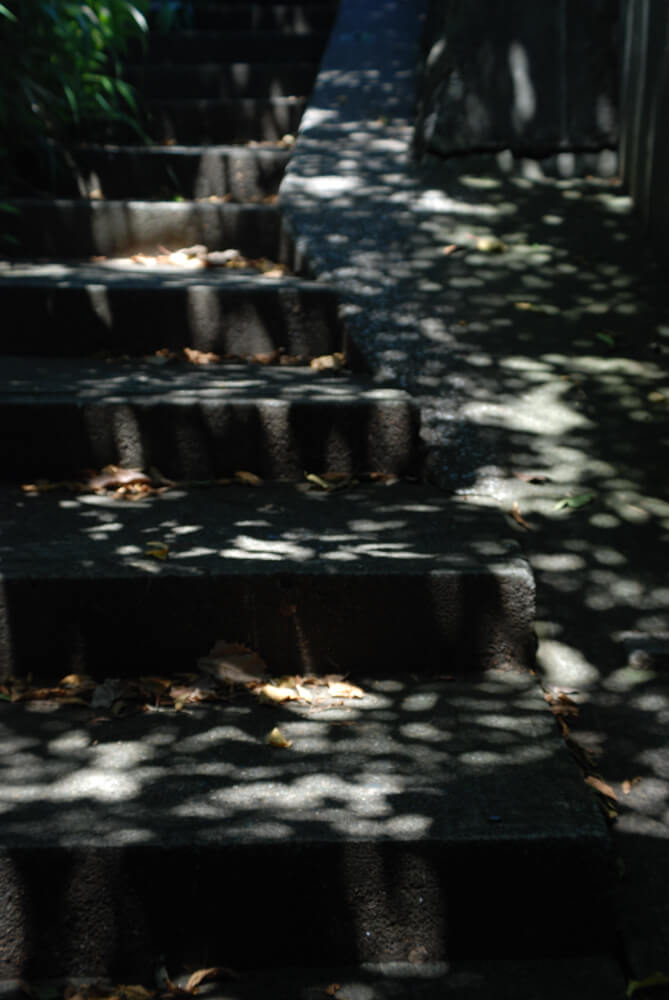 f:id:hachi-log:20211224232700j:plain