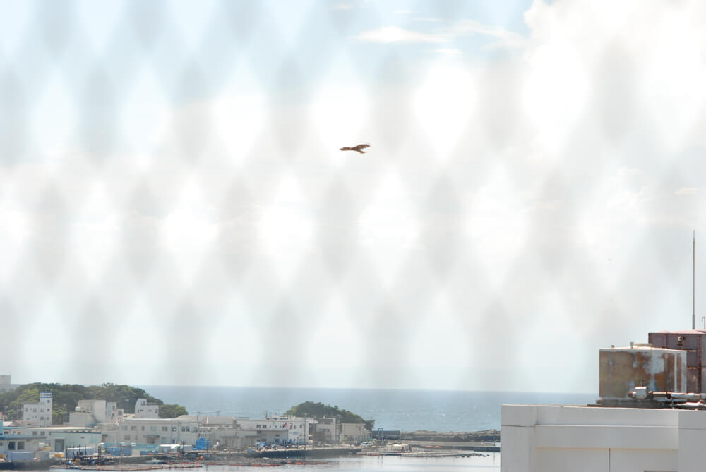 f:id:hachi-log:20211224232713j:plain