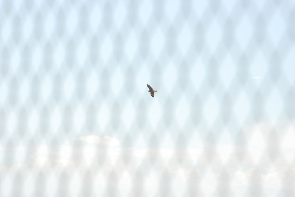 f:id:hachi-log:20211224232716j:plain