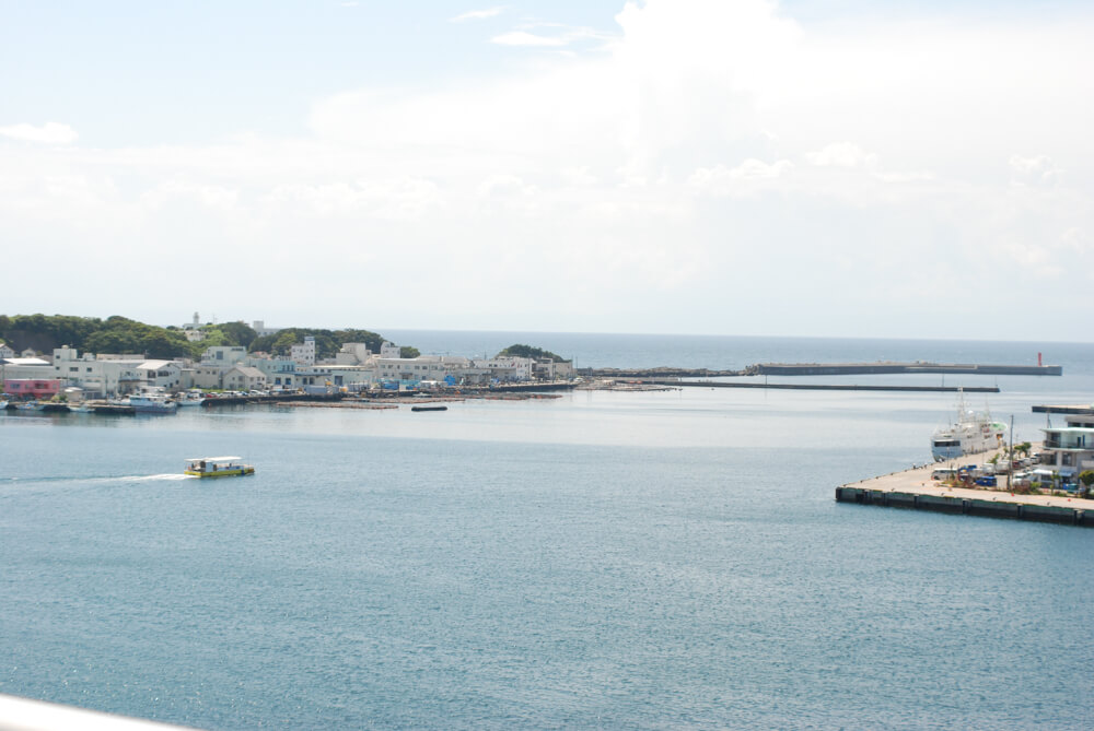 f:id:hachi-log:20211224232718j:plain