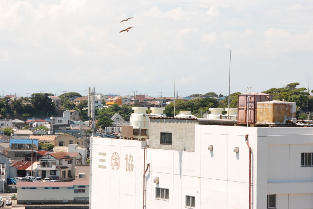 f:id:hachi-log:20211224232721j:plain