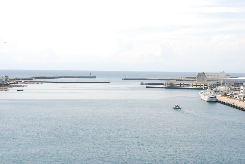 f:id:hachi-log:20211224232738j:plain