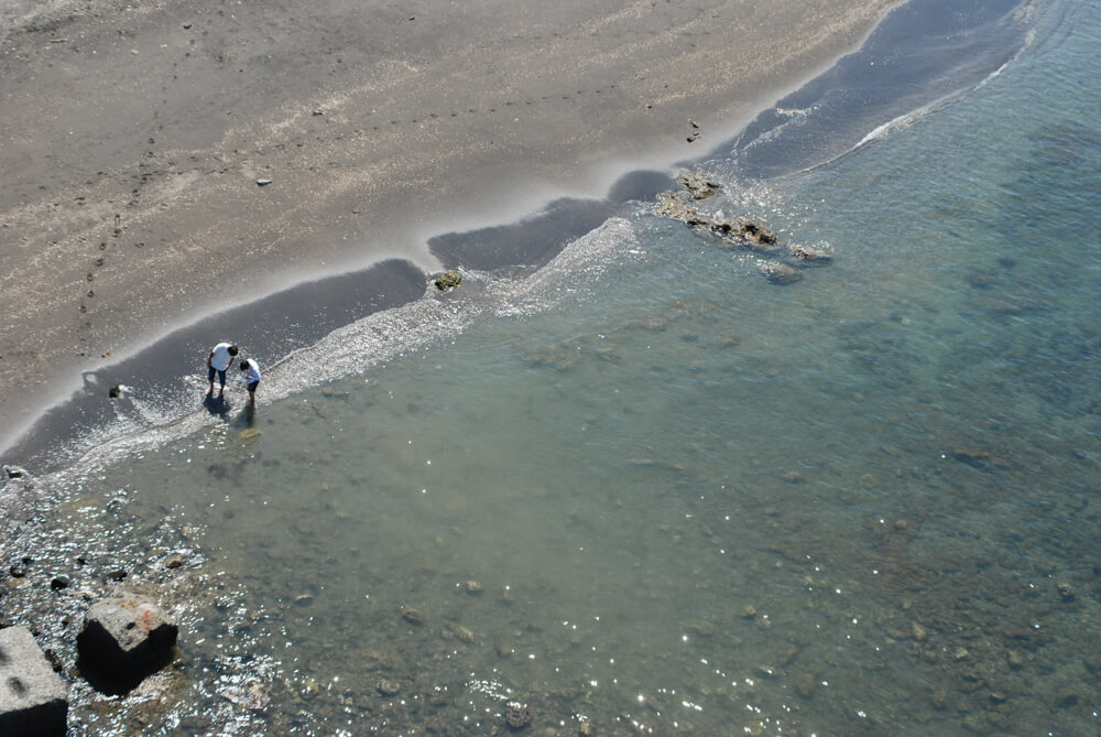 f:id:hachi-log:20211224232741j:plain