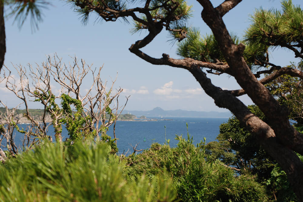 f:id:hachi-log:20211224232756j:plain