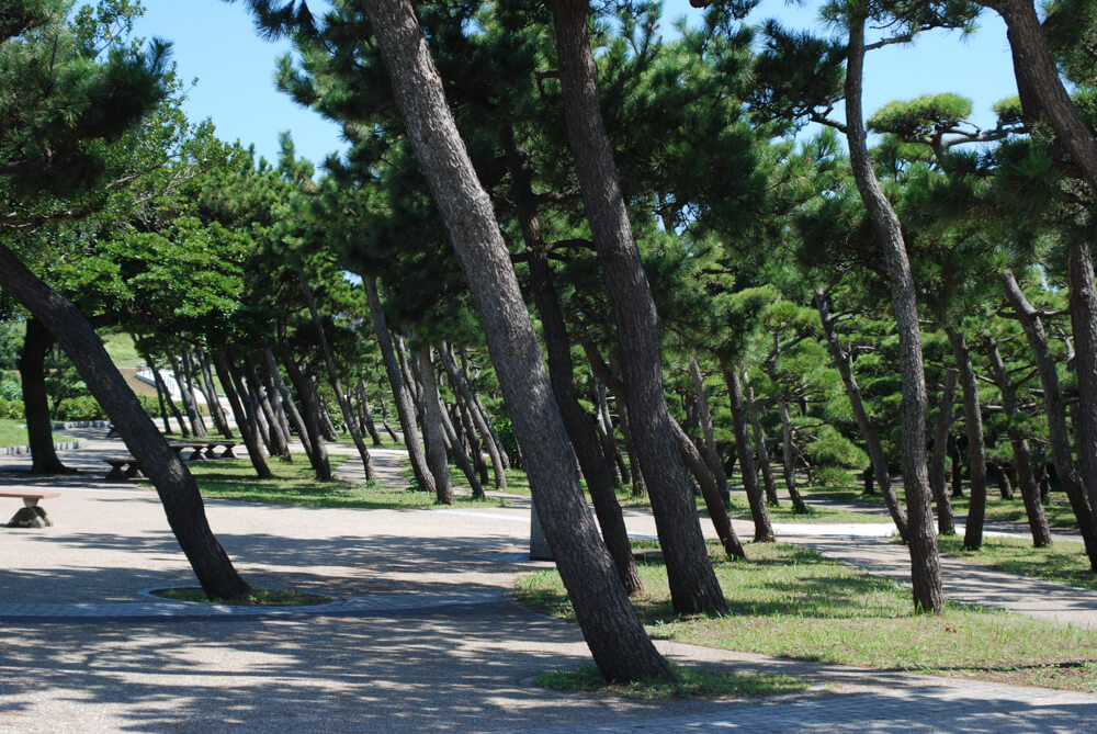 f:id:hachi-log:20211224232759j:plain