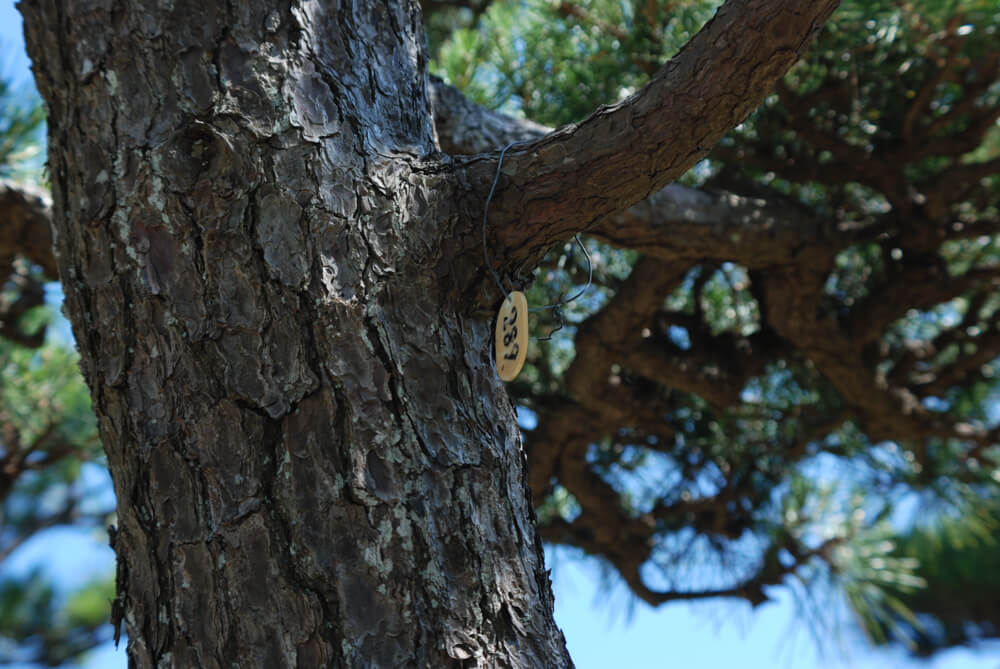 f:id:hachi-log:20211224232805j:plain