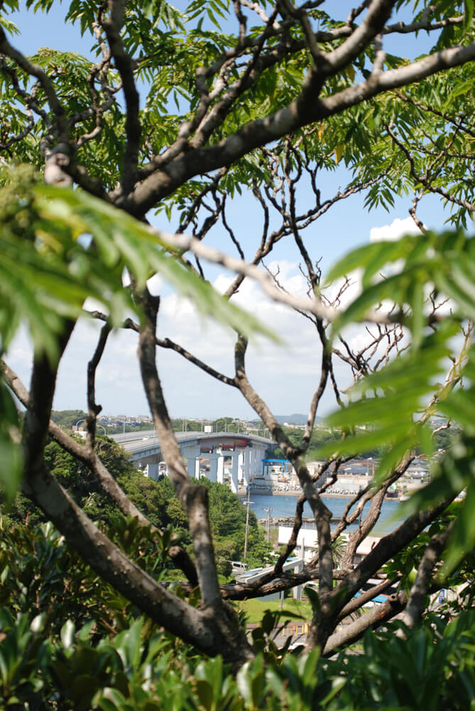 f:id:hachi-log:20211224232816j:plain