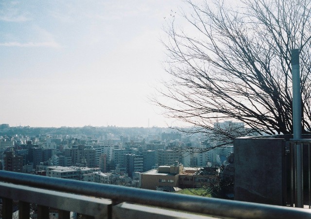 f:id:hachi-log:20220108111822j:image f:id:hachi-log:20220108111822j:image