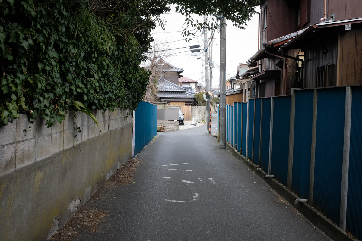 f:id:hachi-log:20220307081657j:plain