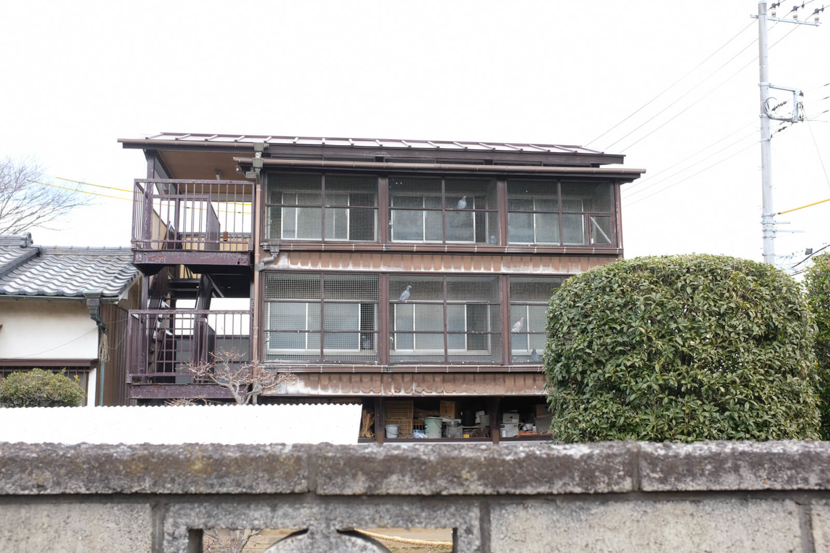 f:id:hachi-log:20220307081724j:plain