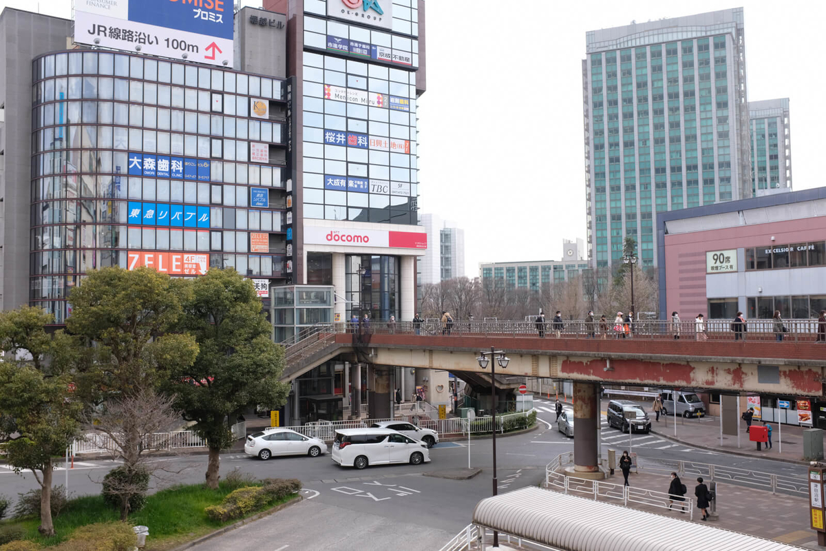 f:id:hachi-log:20220307081845j:plain
