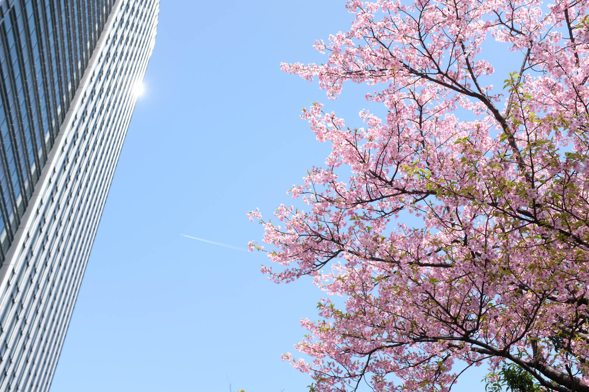 f:id:hachi-log:20220314093914j:plain