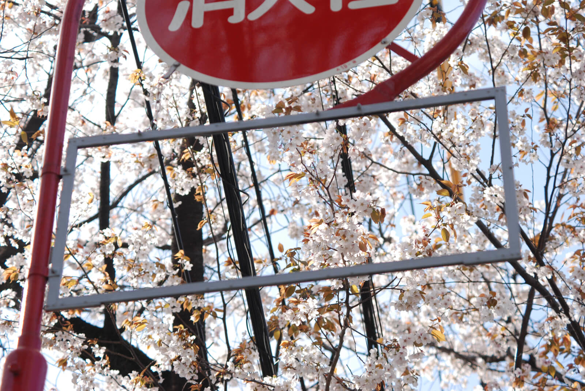 f:id:hachi-log:20220401210601j:plain