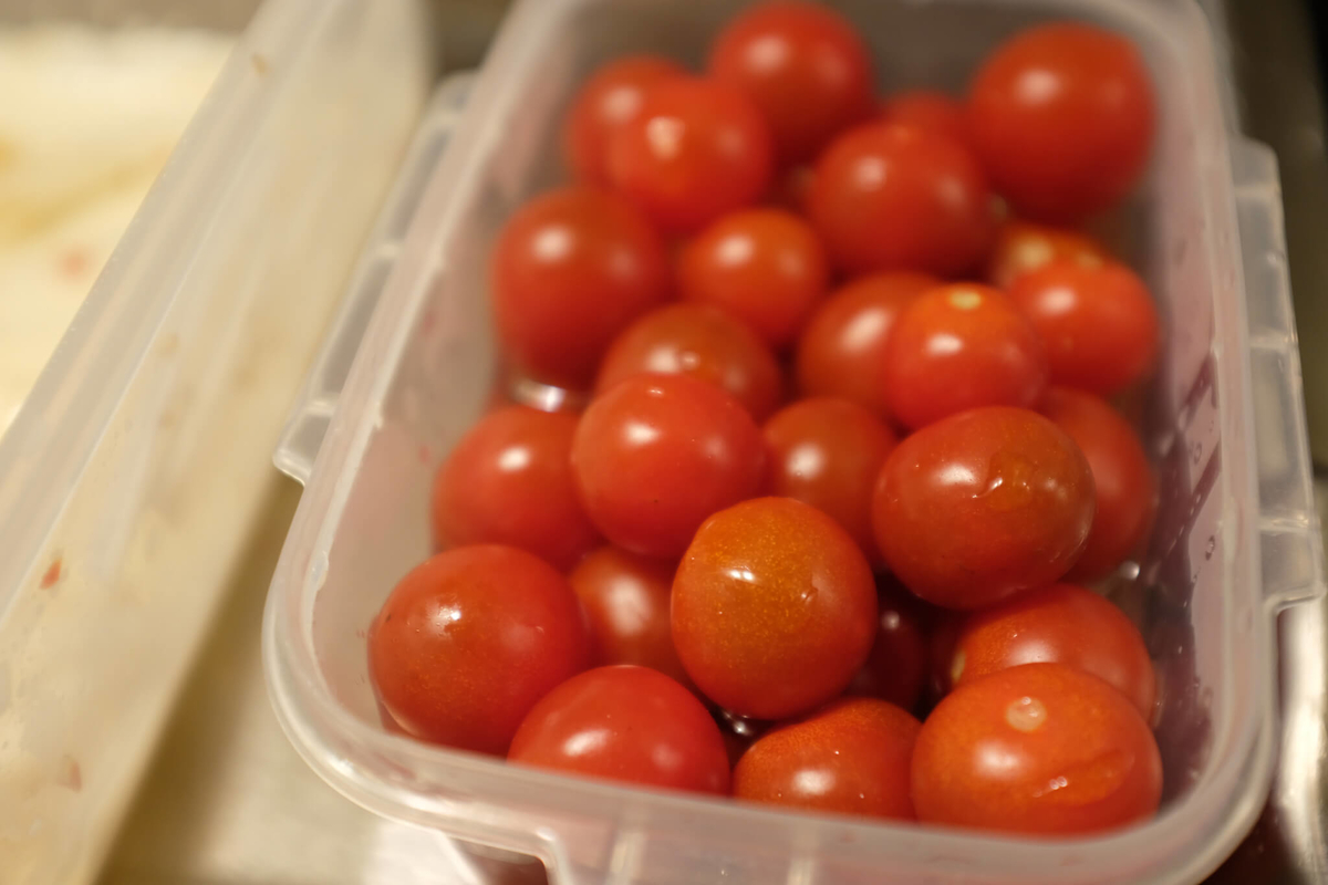 f:id:hachi-log:20220413103735j:plain