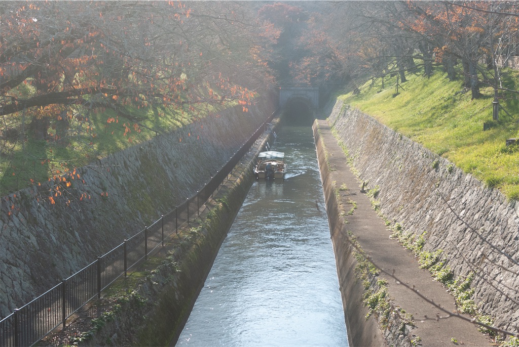 f:id:hachi-log:20231231194149j:image f:id:hachi-log:20231231194149j:image