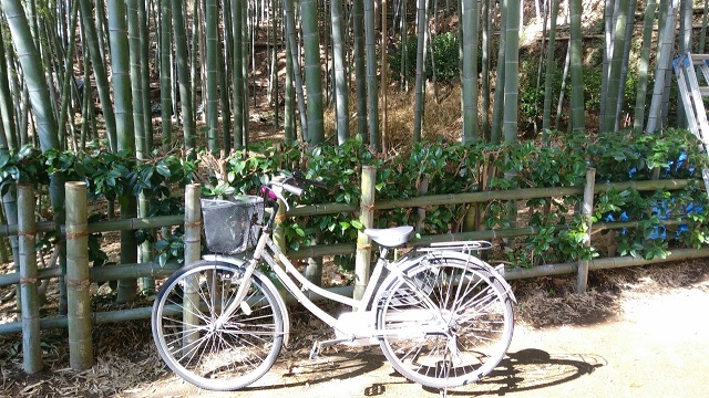f:id:hachi2002:20181113230548j:plain