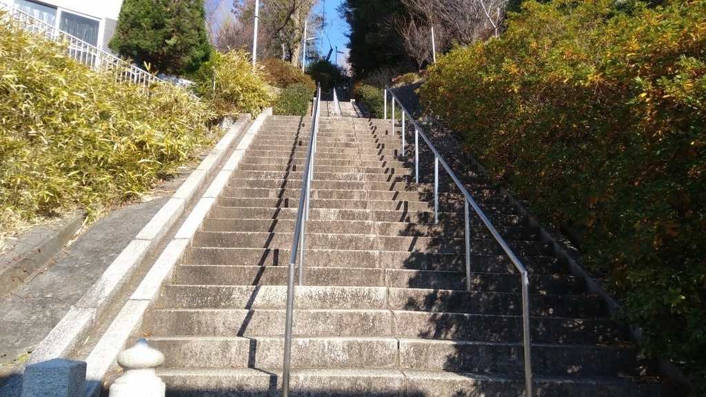 f:id:hachi2002:20190105142130j:plain