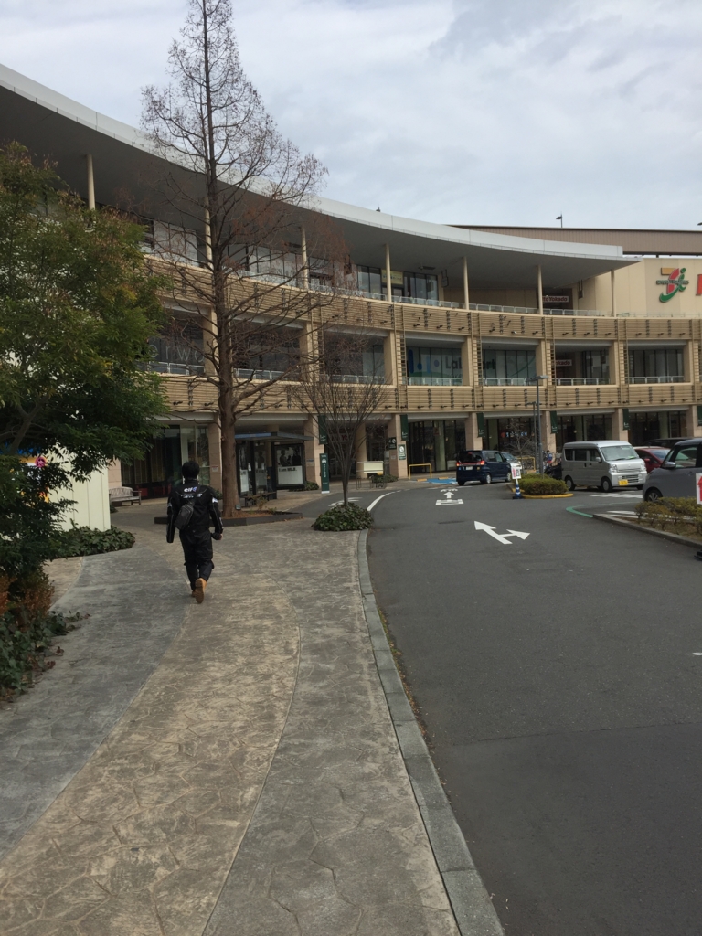 f:id:hachi555:20161231072242j:plain
