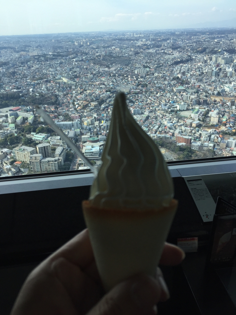 f:id:hachi555:20170228070549j:plain