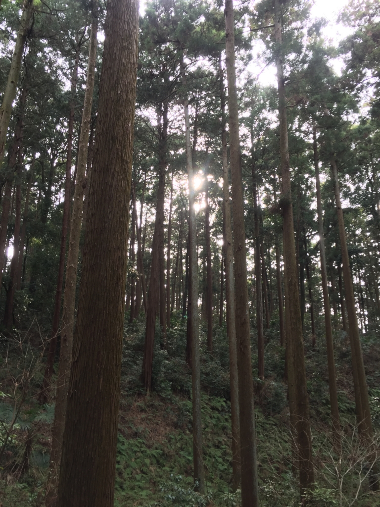 f:id:hachi555:20170313183219j:plain f:id:hachi555:20170313183219j:plain
