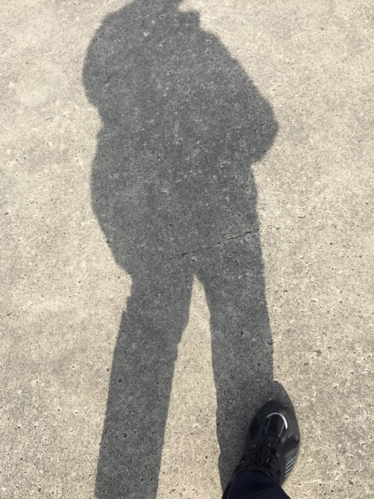 f:id:hachi555:20170319064711j:plain