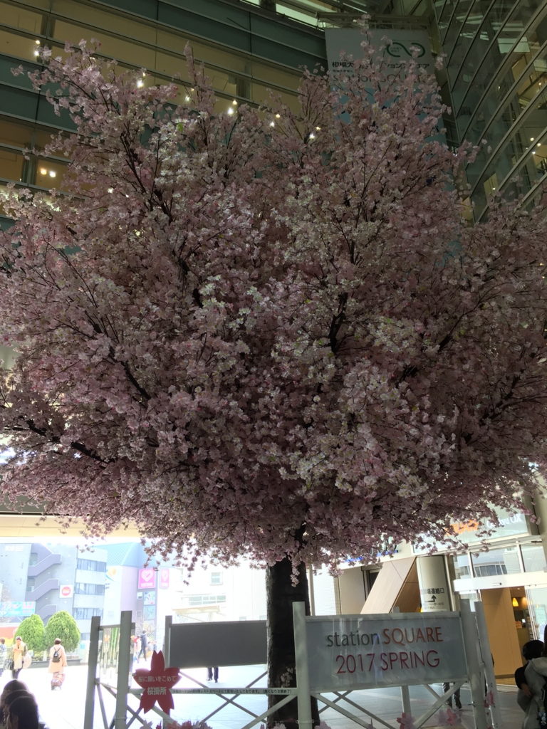 f:id:hachi555:20170320225909j:plain f:id:hachi555:20170320225909j:plain