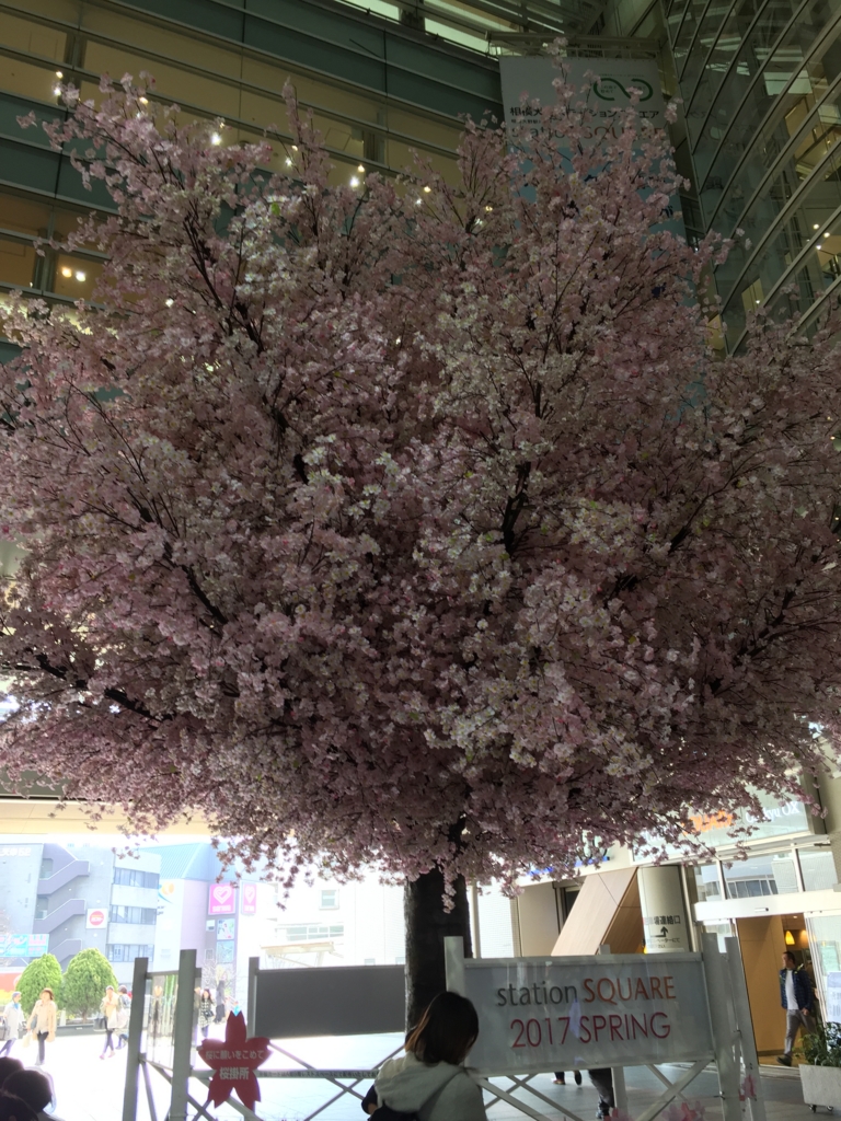 f:id:hachi555:20170320230538j:plain f:id:hachi555:20170320230538j:plain