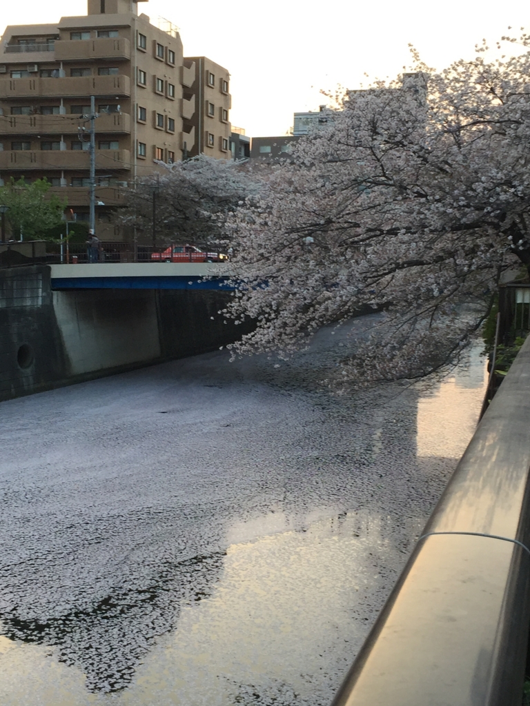 f:id:hachi555:20170415064357j:plain