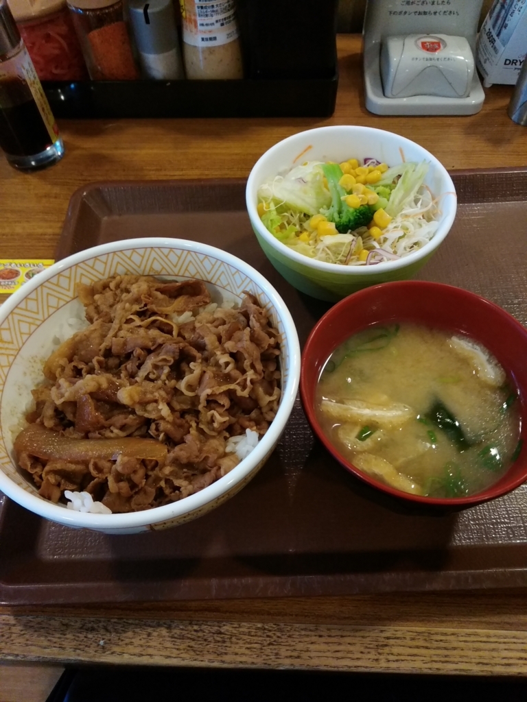 f:id:hachi555:20170702070224j:plain