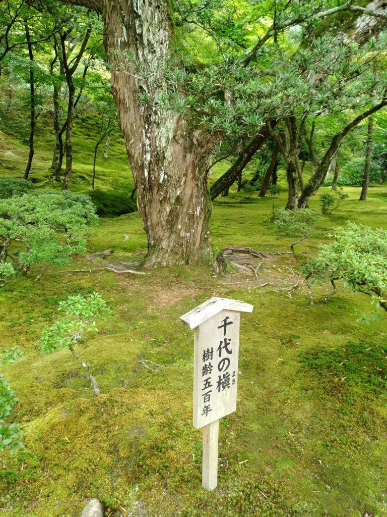 f:id:hachi555:20170815142849j:plain f:id:hachi555:20170815142849j:plain