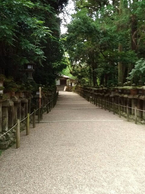 f:id:hachi555:20170821082523j:image