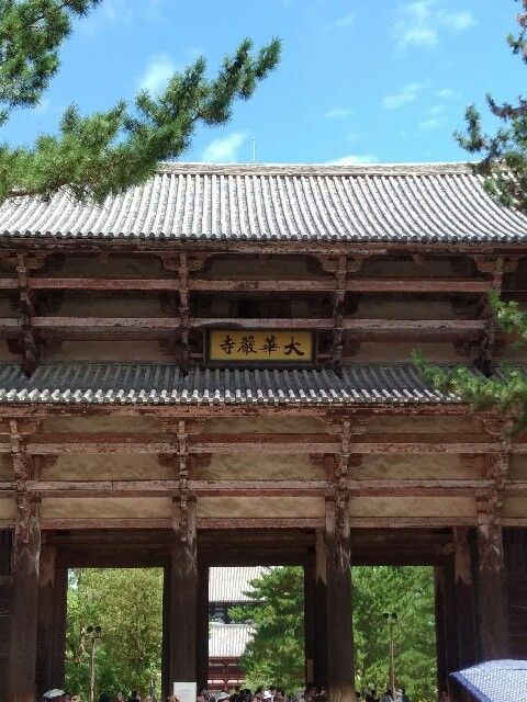 f:id:hachi555:20170822080817j:image