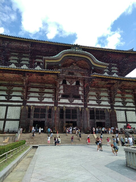 f:id:hachi555:20170822082210j:image