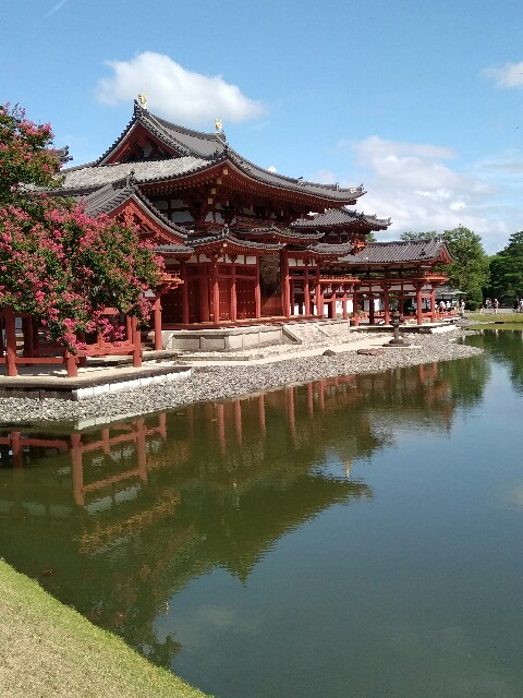 f:id:hachi555:20170901082127j:image