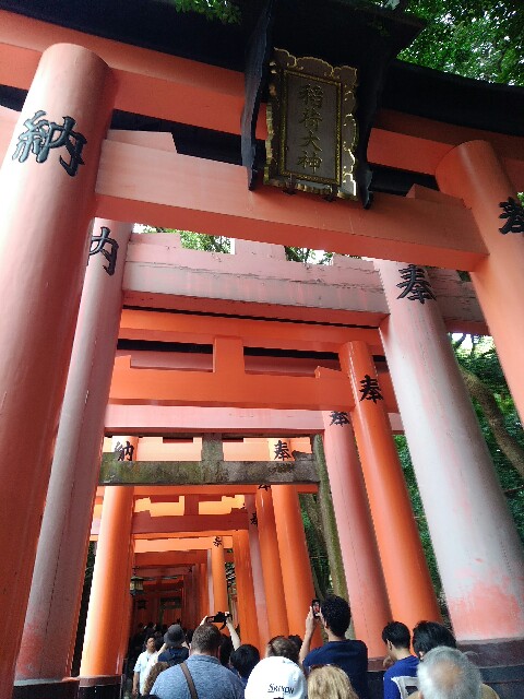 f:id:hachi555:20170905175231j:image