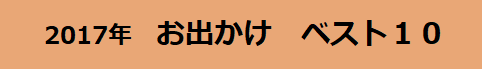 f:id:hachi555:20171231080451p:plain