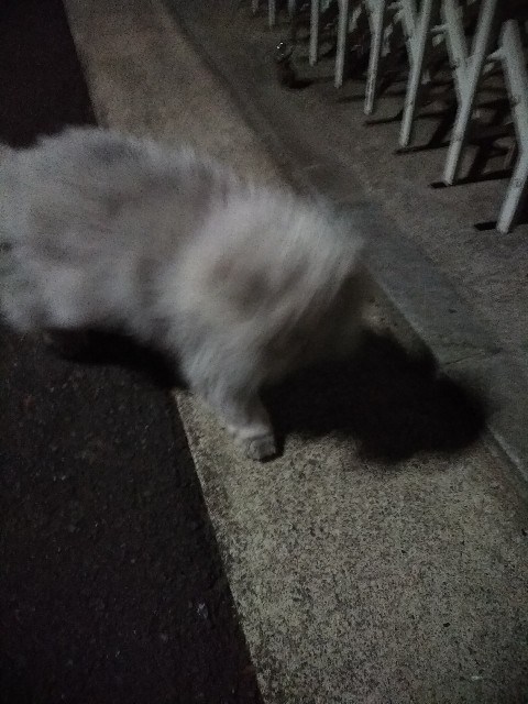 f:id:hachi555:20180220065047j:image f:id:hachi555:20180220065047j:image